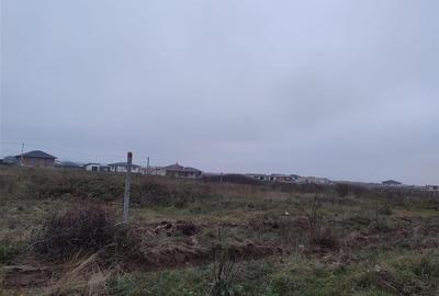 RECO Teren intravilan Tineretului - 3