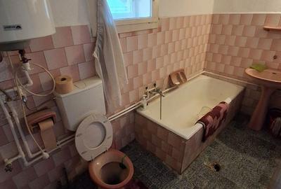 Casă cu 4 camere cu Teren 1440 Mp în Vetiș - 4