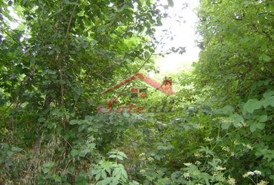 Teren de 643 mp, în Cornu - 1