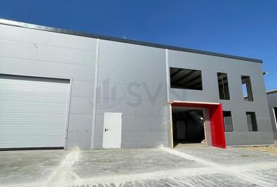 Hale depozitare de in zona de Nord Chitila Hale depozitare de in zona de Nord Chitila - 3