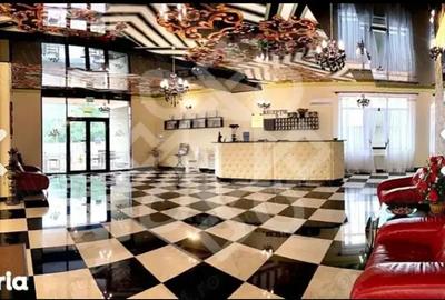 Spațiu comercial, de 2,900 mp, în Băile Felix - 5