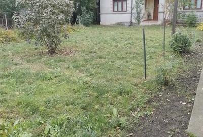Casă cu 3 camere cu Teren 2500 Mp în Central - 8