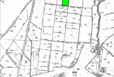 Teren agricol extravilan de 47100 mp, în Bod