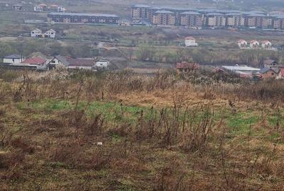 Spațiu comercial, în Chinteni - 4