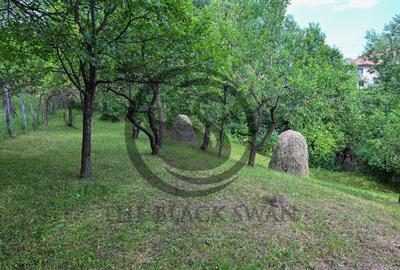 Casa 4 camere de vanzare | Zona linistita | Talea Prahova... - 9