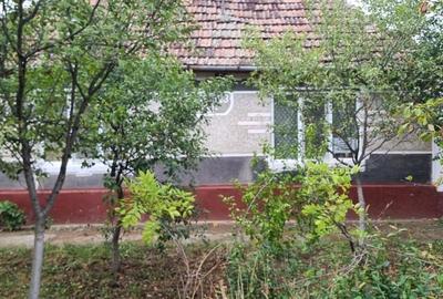 Casă cu 3 camere în Central - 5