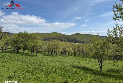Teren de 8330 mp, în Vințu de Jos - 6