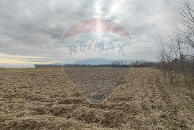 Teren de 12193 mp, în Jena - 3