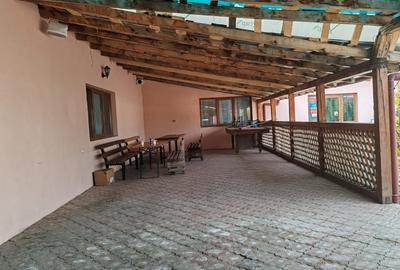 Spatiu comercial Sat Otetoaia, comuna Lunca Banului, Husi, Vaslui - 4