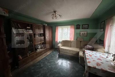 Teren 3000 mp + 2 case de vanzare-Ca?eiu - 18