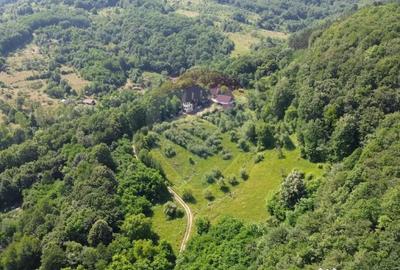 Casă cu 10 camere cu Teren 24700 Mp în Berchez - 11