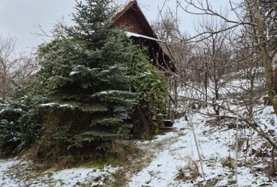 Coas, cabana, 28 ari teren - 3