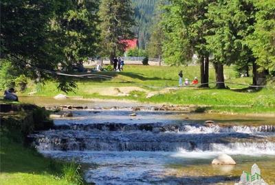 Teren intravilan de vanzare Padina/ Muntii Bucegi - 1