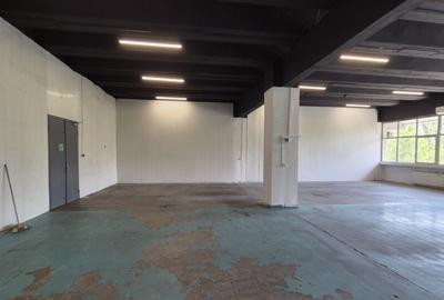 Spatiu Th. Pallady | Ozana | Depozitare-Productie 90mp 180mp - 2