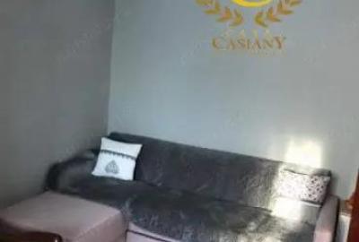 Garsoniera confort 1 4 apartamente pe etaj amenajata complet Lipovei etaj 2 - 1