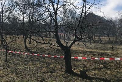 Valcea, Baile Olanesti - 1