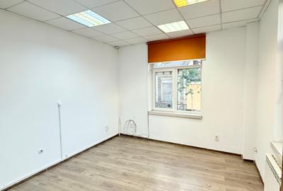 Vila in zona Mosilor / D+P+1+M/ Ideala  Birouri, Clinica, After school-330 mp - 7