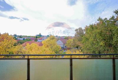 Apartament decomandat cu 3 camere, 70 mp, de vanzare - Zona Cantemir - 22