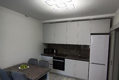 Garsoniera de inchiriat in zona Herastrau - 1