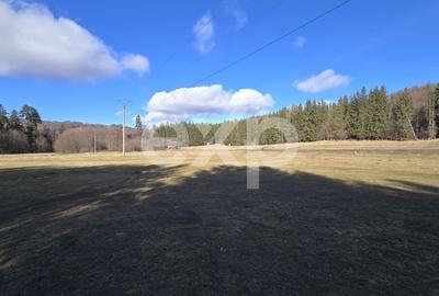 Teren Construcții extravilan de 19200 mp, în Brădet - 3