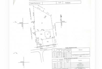 Casă cu 7 camere cu Teren 4098 Mp în Grădiștea - 10