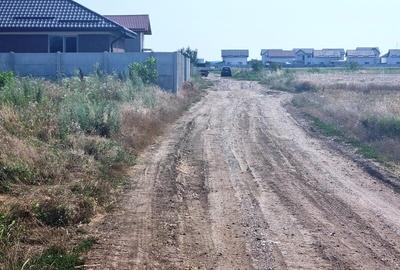 Vanzare Teren intravilan Magurele 5000mp - 4