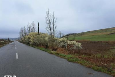 Teren de 10000 mp, în Viișoara - 3
