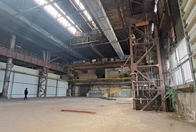 Titan - Bulevardul Basarabia, hala 1000 mp - 4