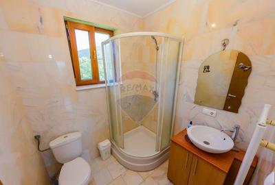 Vila de vanzare cu priveli?te superba Cicarlau - 13