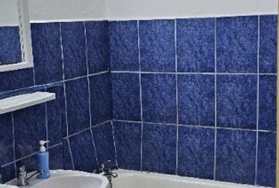 Inchiriez Garsoniera Craiovei - 8