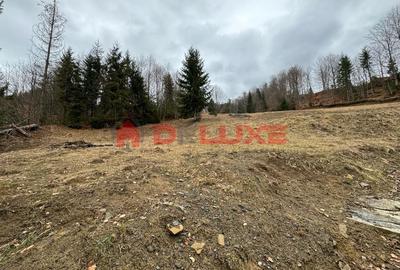 Teren intravilan Colibita-DJ 173 A - 6