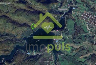 Teren de 20720 mp, în Cinciș-Cerna - 5