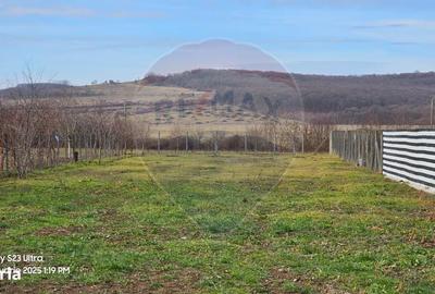 Spațiu comercial, în Ineu - 3
