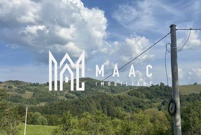 Spațiu comercial, în Poiana