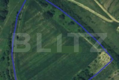 Teren de 21450 mp, în Turda - 5