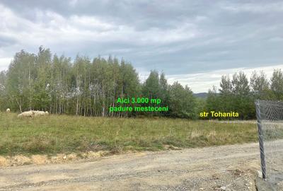 Teren Construcții intravilan de 3000 mp, în Predeluț - 2