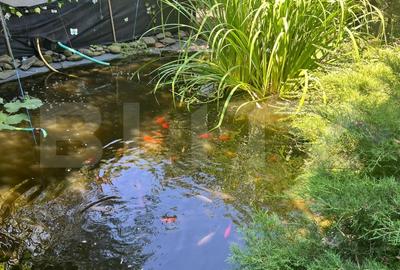 Casa, stil clasic, ultracentral – Teren 1344 mp - 9