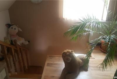 Casă cu Teren 2400 Mp în Cavnic - 14