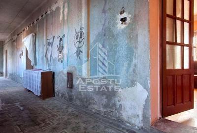 Casa de caramida in Tela si Teren Generos de 4320 mp - 6