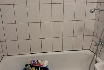 Proprietar,vând apartament.doua camere bdul Tineretului - 11