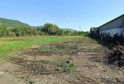 Teren de 2921 mp, în Șieu - 2