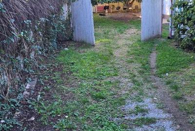 Casă cu 3 camere în Pestișu Mic - 9