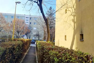 Cartierul Florilor, imobil renovabil, etaj intermediar, zona linistita, Brasov - 8