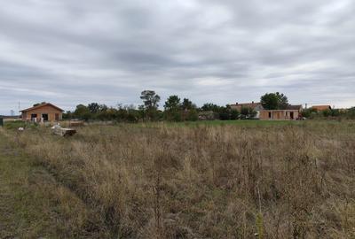 Teren de 1000 mp, în Dragșina