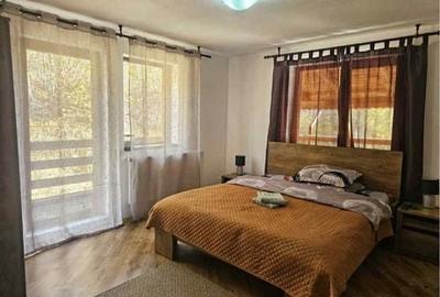 Casă cu 4 camere cu Teren 3000 Mp în Dosu Bricii - 1