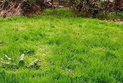 Pantelimon/ Ilfov - 9