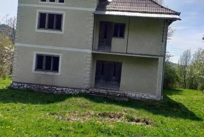 Casă cu Teren 8000 Mp în Roșia Montană - 1