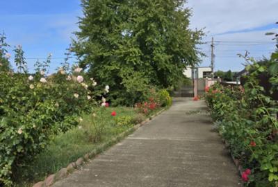 Casă cu 3 camere cu Canalizare în Căciulești - 6