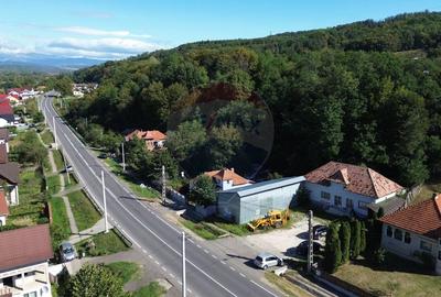 Spatiu comercial si casa de vanzare in Furnicosi. - 8