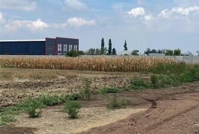 Vanzare Teren intravilan Magurele 5000mp